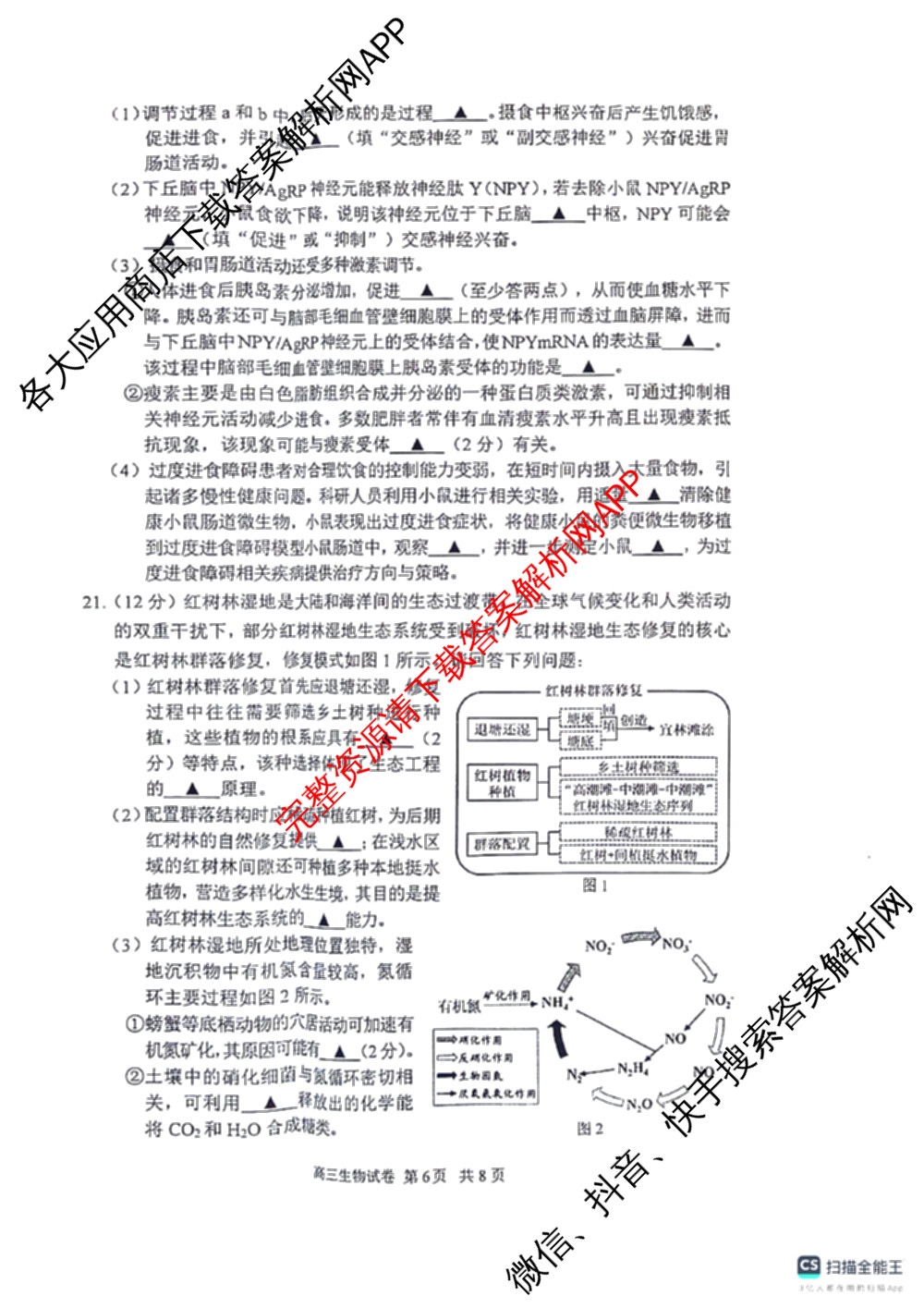 2023-2024学年度苏锡常镇四市高三教学情况调研(二)（含化学、地理、物理等）生物试题