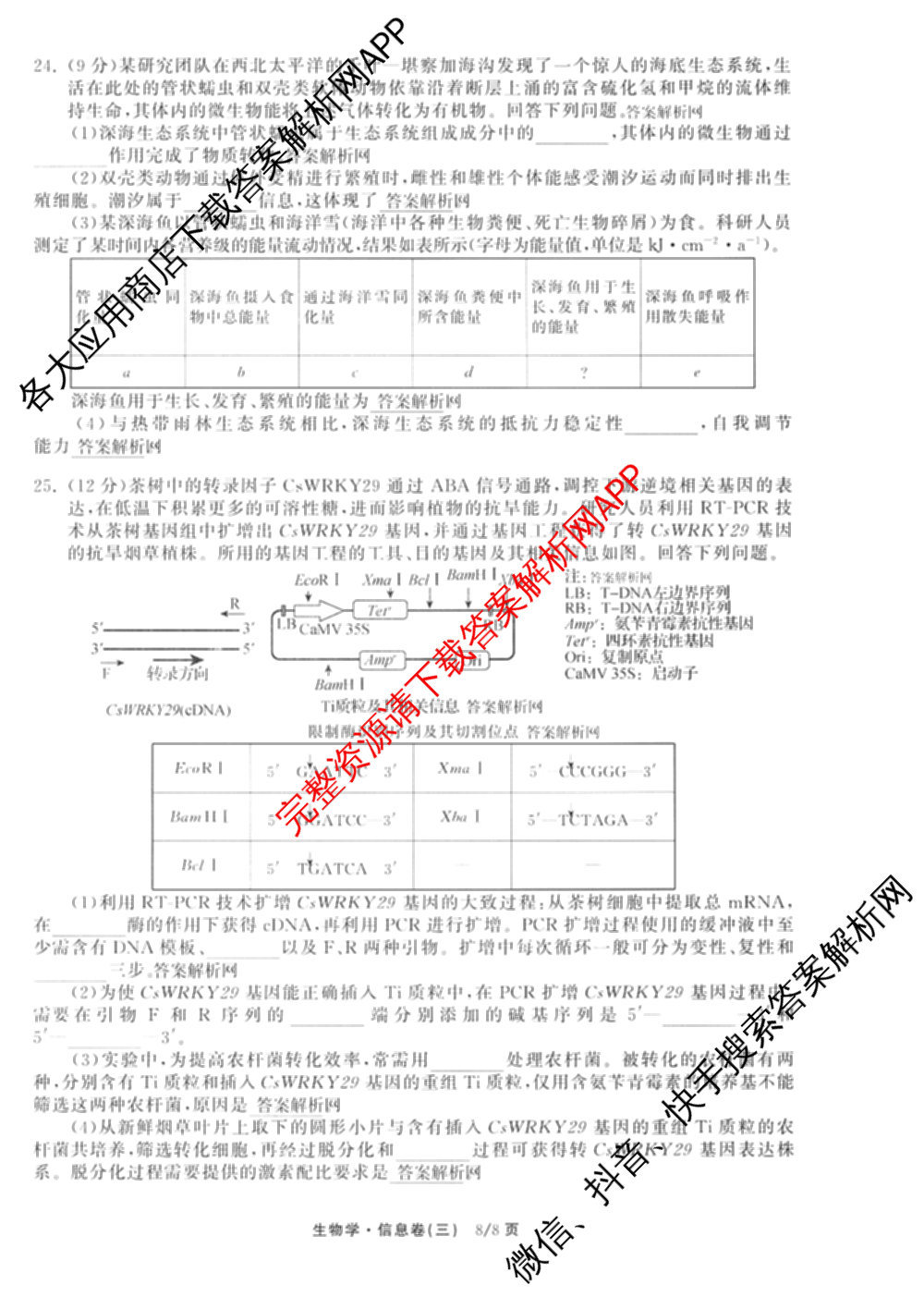 天舟高考衡中同卷2026年普通高等学校招生全国统一考试模拟信息卷(三)3（35科全）生物试题