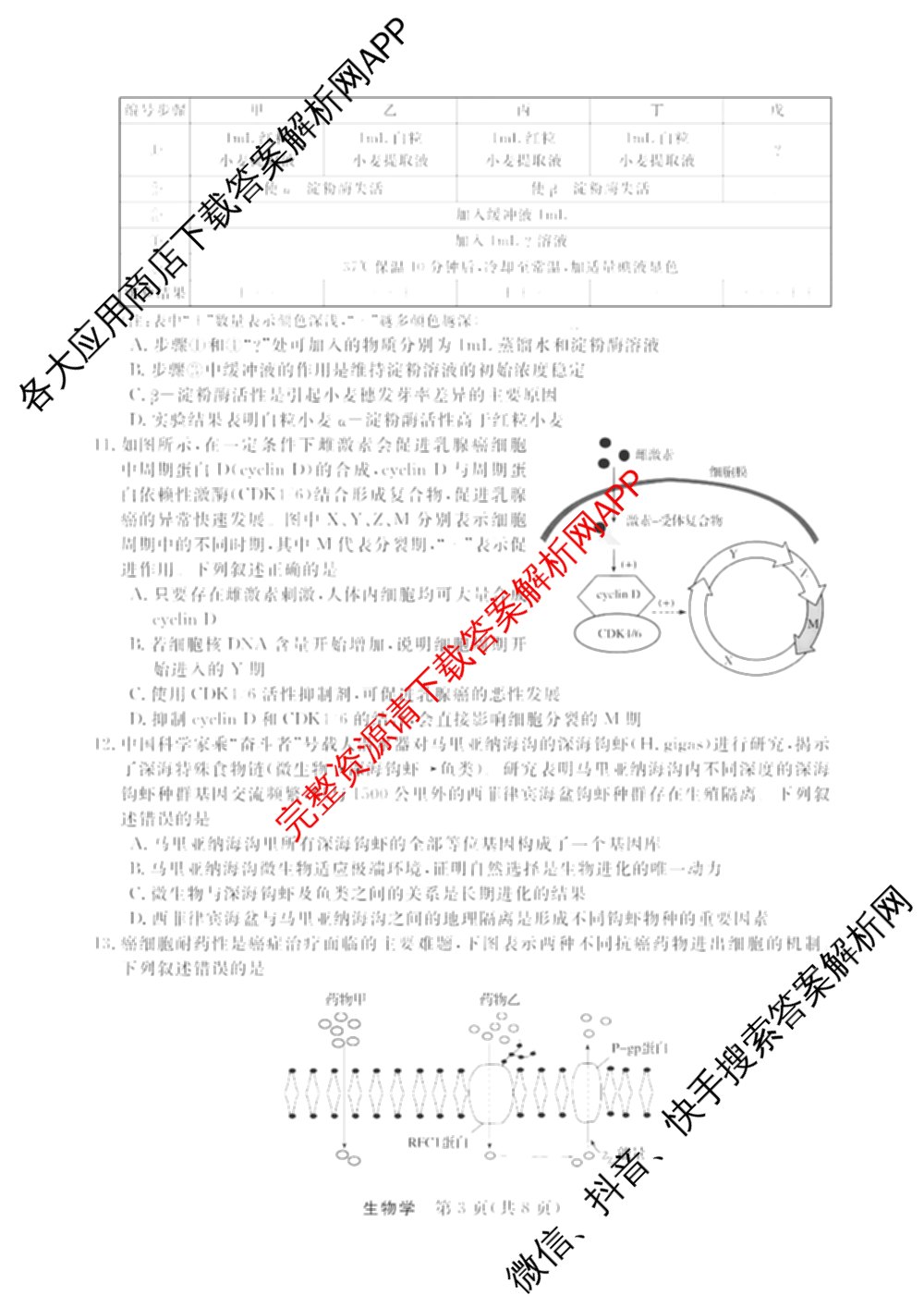 浙江强基联盟2025年12月高二联考试卷及答案汇总（含日语、地理、数学等11份）生物试题