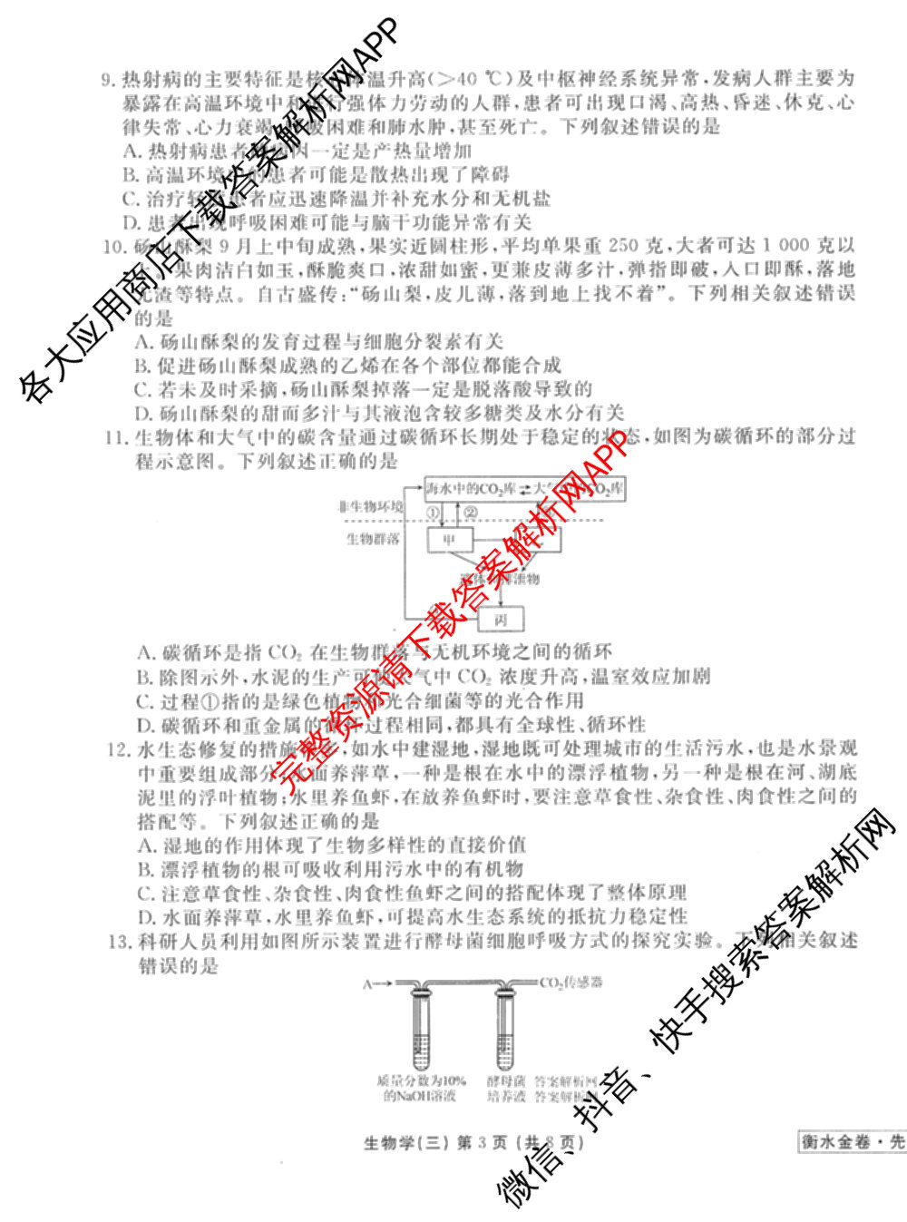 衡水金卷先享题调研卷2026年普通高等学校招生全国统一考试模拟试题(三)3各科答案及试卷(已更新化学(山东专版)、历史(HN)、文综(新教材)等91份)生物试题