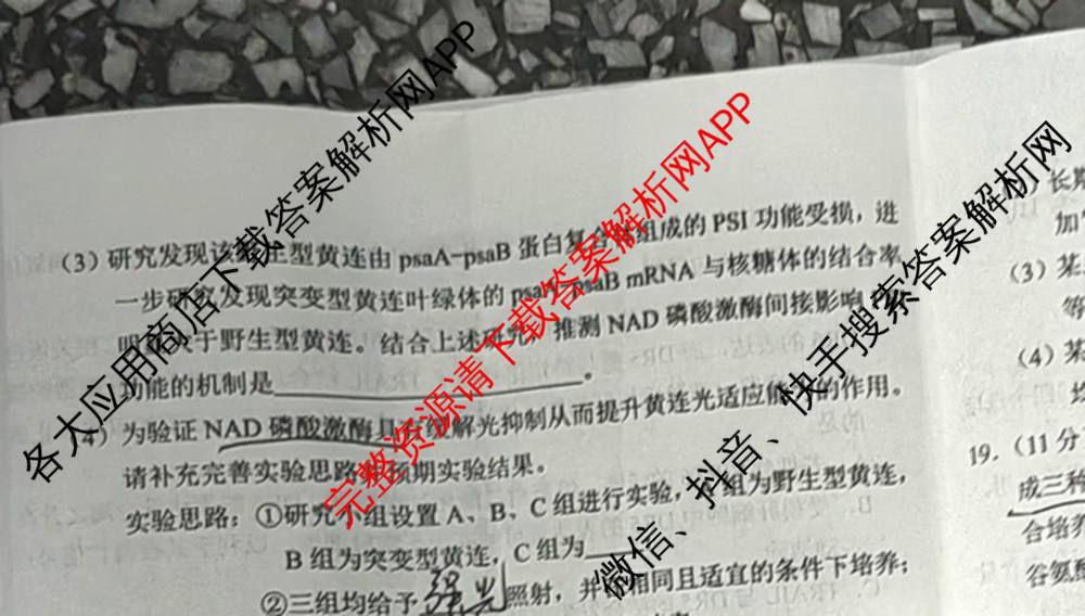 重庆康德2026届重庆市普通高等学校招生全国统一考试 高考模拟调研卷(一)试卷及答案汇总（10科全）生物试题