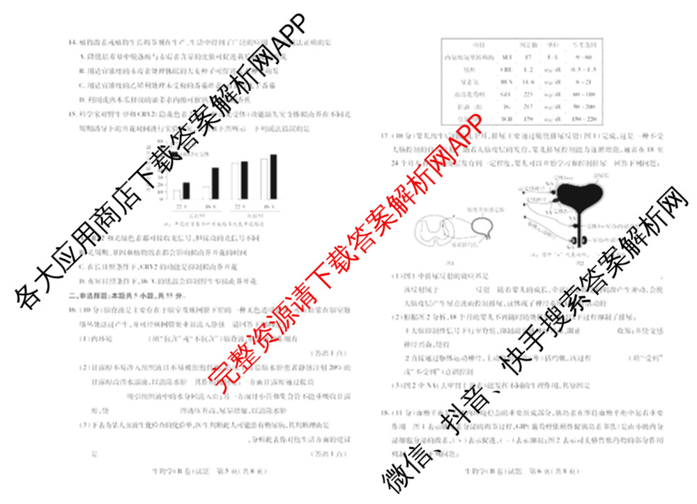  天一大联考安徽2025-2026高二年级12月阶段性检测(无标题)各科答案及试卷（含英语 地理 政治(C卷)等）生物试题