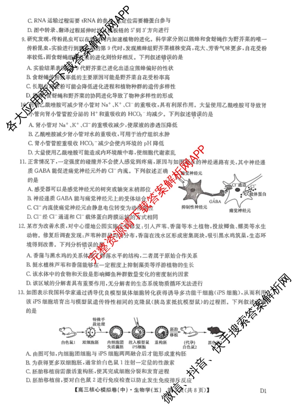 九师联盟2025~2026学年高三核心模拟卷(中)(五)（含化学(D1)、历史(D2)、政治(B)等）生物试题