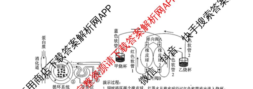 河北省2025年八年级学业水考试(三模会考练)各科答案及试卷（含生物 地理等2份）生物试题