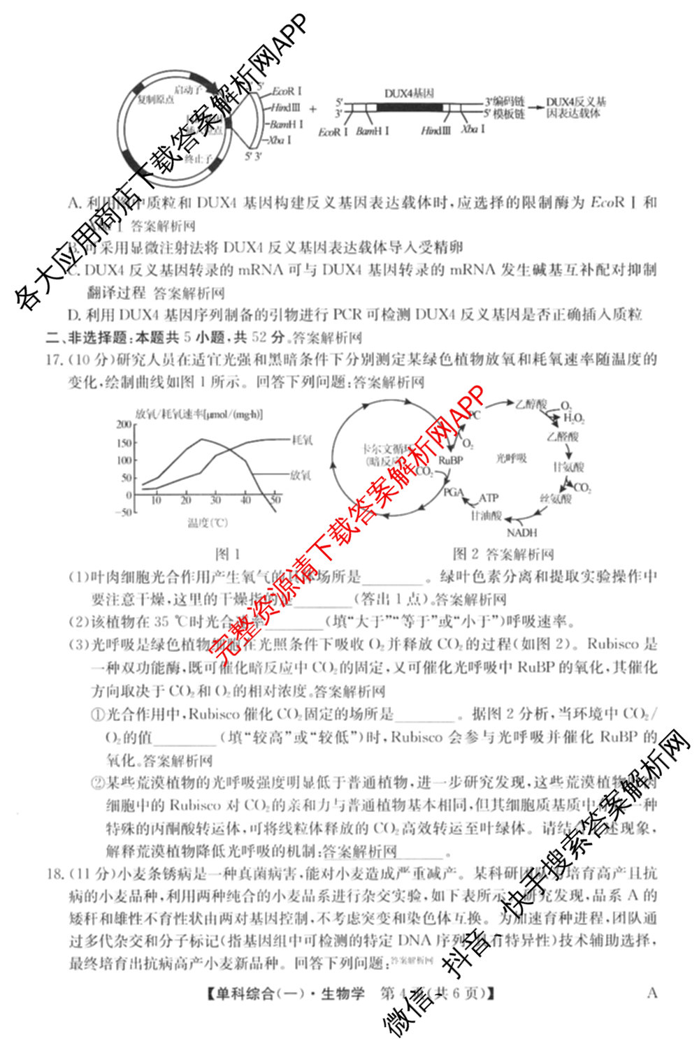 2026年高考单科综合模拟信息卷(一)1（含语文、物理(A)、数学等）生物试题