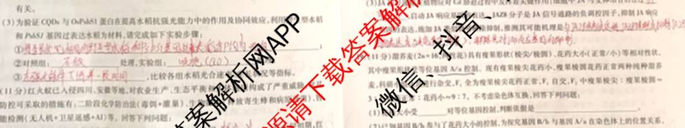 2026届智慧上进名校学术联盟高考模拟信息卷&冲刺卷&预测卷(三)3试卷及答案汇总（含生物(SX) 生物(SC) 生物(II)等40份）生物试题