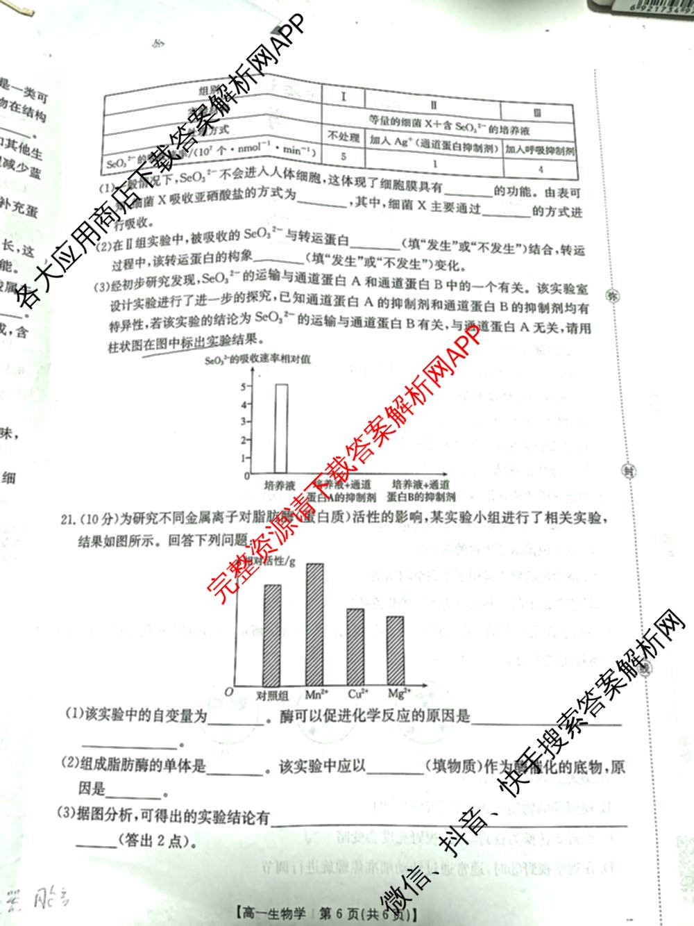 陕西省2025-2026学年高一年级考试(12.16)试卷及答案汇总（10科全）生物试题