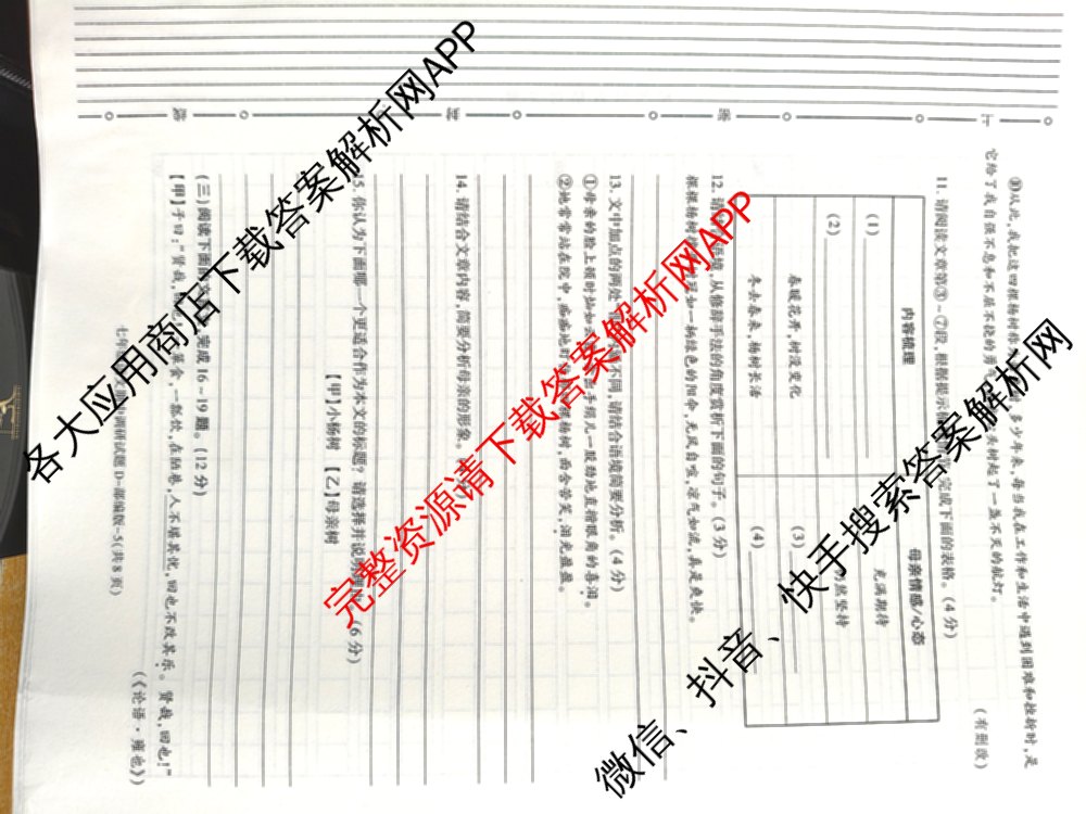 陕西省2024-2025学年度七年级第一学期期中调研试题(卷)试卷及答案汇总（17科全）语文试题