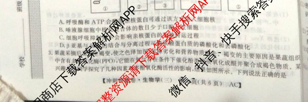 2026普通高等学校招生全国统一考试冲刺押题卷(三)3试卷及答案汇总（含生物(AC)、物理、数学(A)等）生物试题