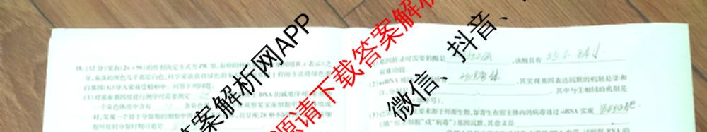 天一大联考安徽2026届高三期中联考(11月)(已更新物理(合肥专版)、历史(宿州专版)、政治等16份)生物试题