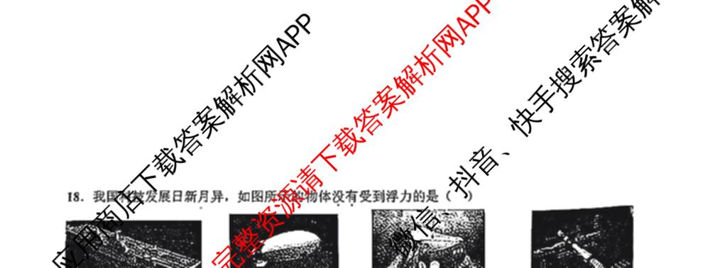 安徽省淮南市大通区2024-2025学年度第二学期八年级学科期末试卷（7科全）物理试题