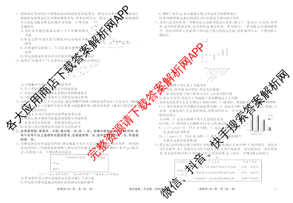 衡水金卷先享题调研卷2026年普通高等学校招生全国统一考试模拟试题(五)5各科答案及试卷（91科全）生物试题