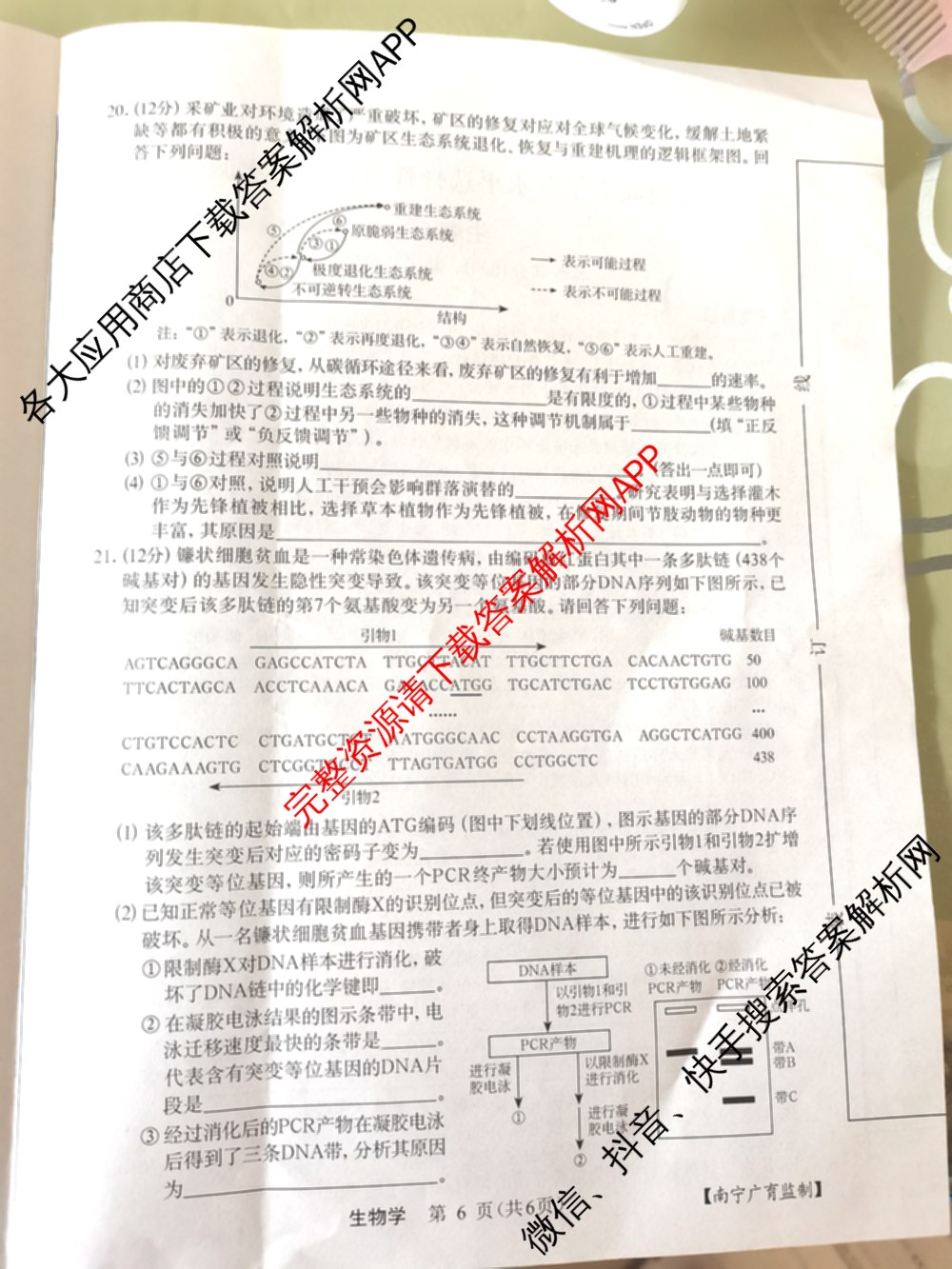 广西名校高考模拟试卷第一次调研考试[2025广西名校卷-3]试卷及答案汇总（含生物、政治、物理等）生物试题