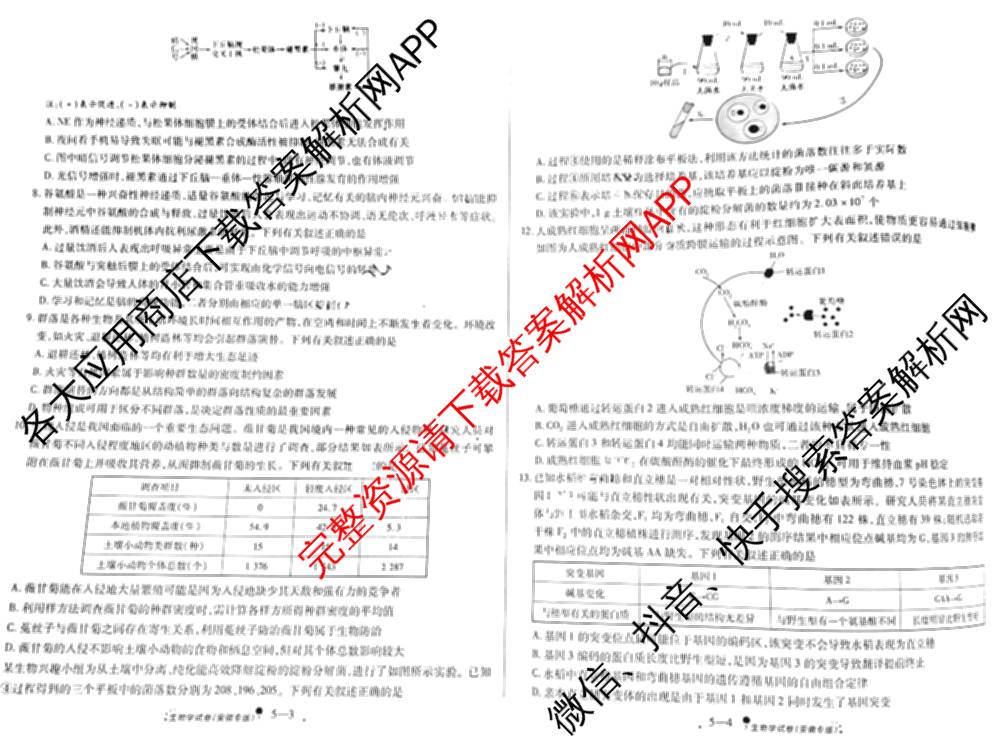 天一大联考2025届高考全真模拟卷(五)各科答案及试卷(已更新政治(河南专版)、生物(安徽专版)、英语(新高考)等37份)生物试题