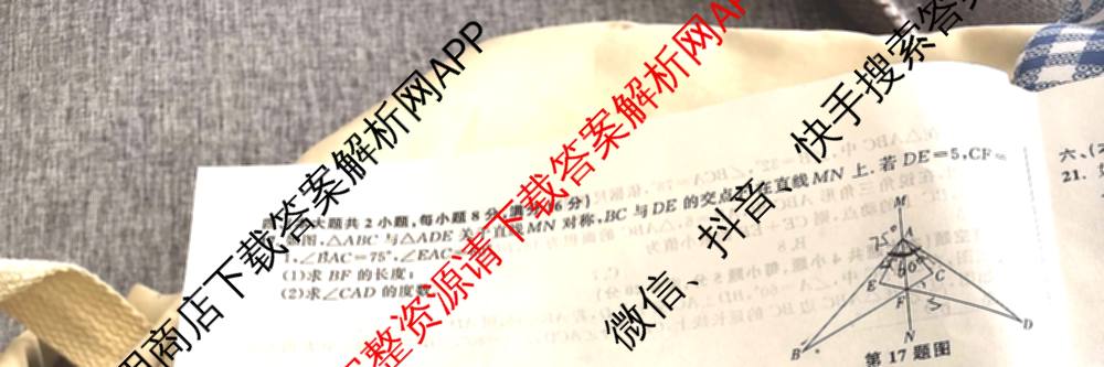 安徽省2025-2026学年八年级上学期期中教学质量调研A卷(11.13-14)试卷及答案汇总（含生物(人教版) 数学(北师大版) 物理(沪粤 版)等20份）数学试题