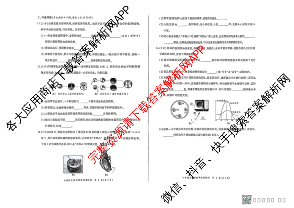 涡阳县2024-2025年度第二学期义务教育教学质量检测七年级(2025.6): 含历史、数学、语文试卷解析生物试题