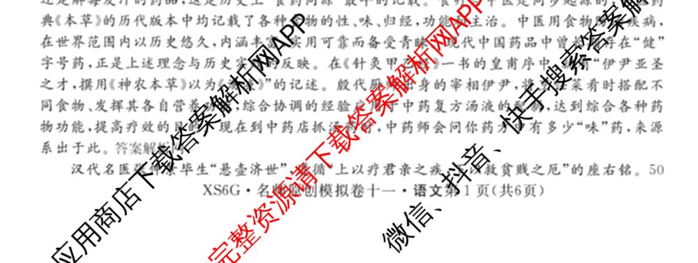 2026届高三总复名师原创模拟(十一)11试卷及答案汇总（含地理(XS6)、政治(CQX6)、政治(新S6JG)等）语文试题