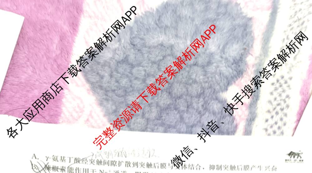 NT河北省2025-2026学年第一学期高二年级11月期中考试(一)各科答案及试卷（含政治 生物 物理等10份）生物试题