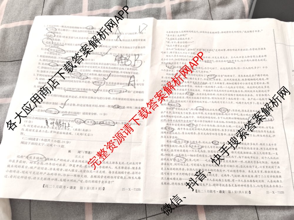 [安徽县中联盟]2024~2025学年度第二学期高二5月联考(25-X-732B)（含历史 数学(A卷) 化学(A卷)等）语文试题