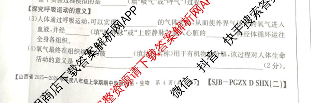 太原市八年级上学期长标期中试卷及答案汇总（含道德与法治(R) 物理(R) 英语(NJB)等）生物试题