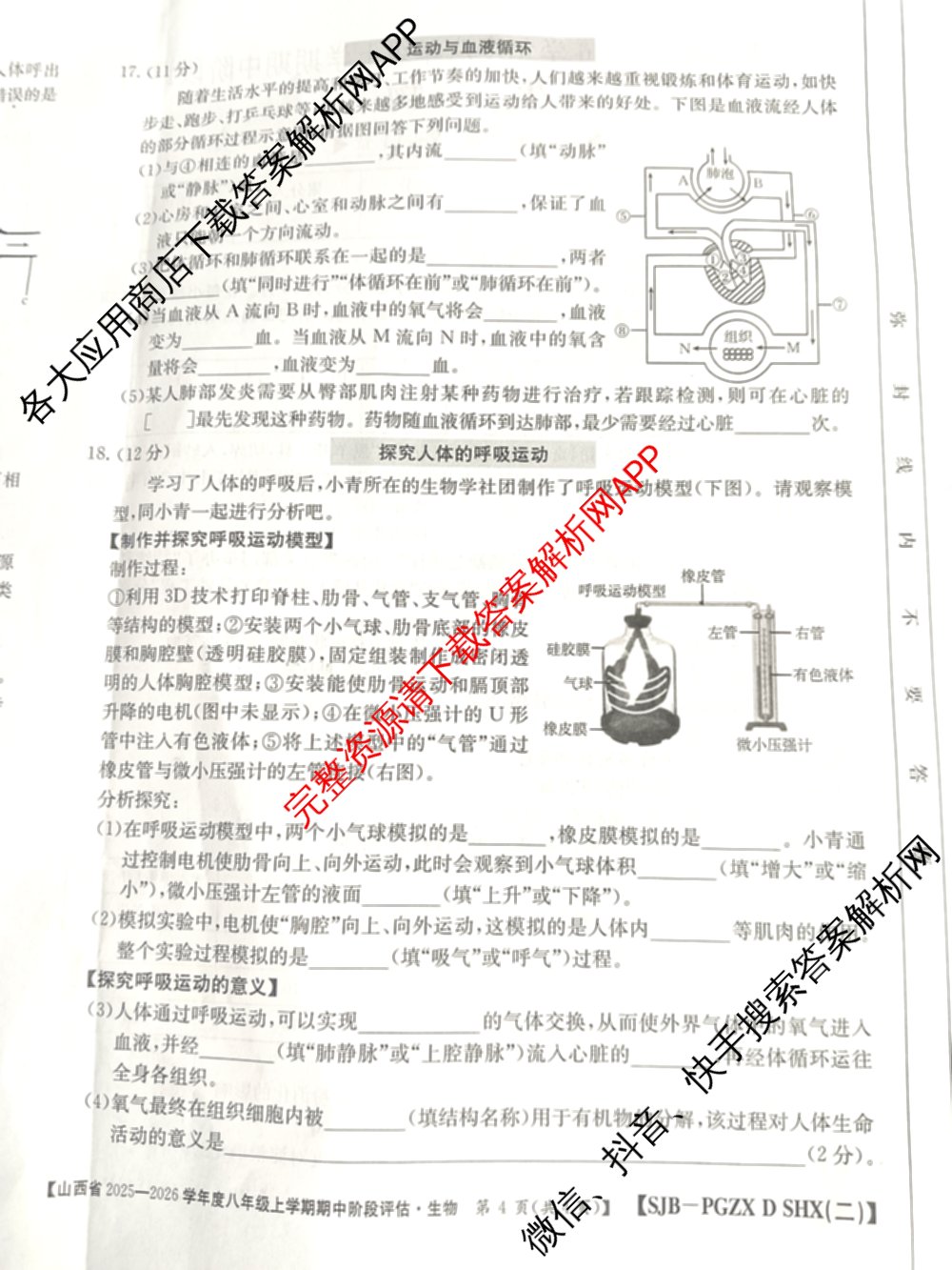 山西省2025-2026学年度八年级上学期期中阶段评估[PGZXDSHX(二)]各科答案及试卷（含数学(HSD)、地理(R)、生物(R)等）生物试题