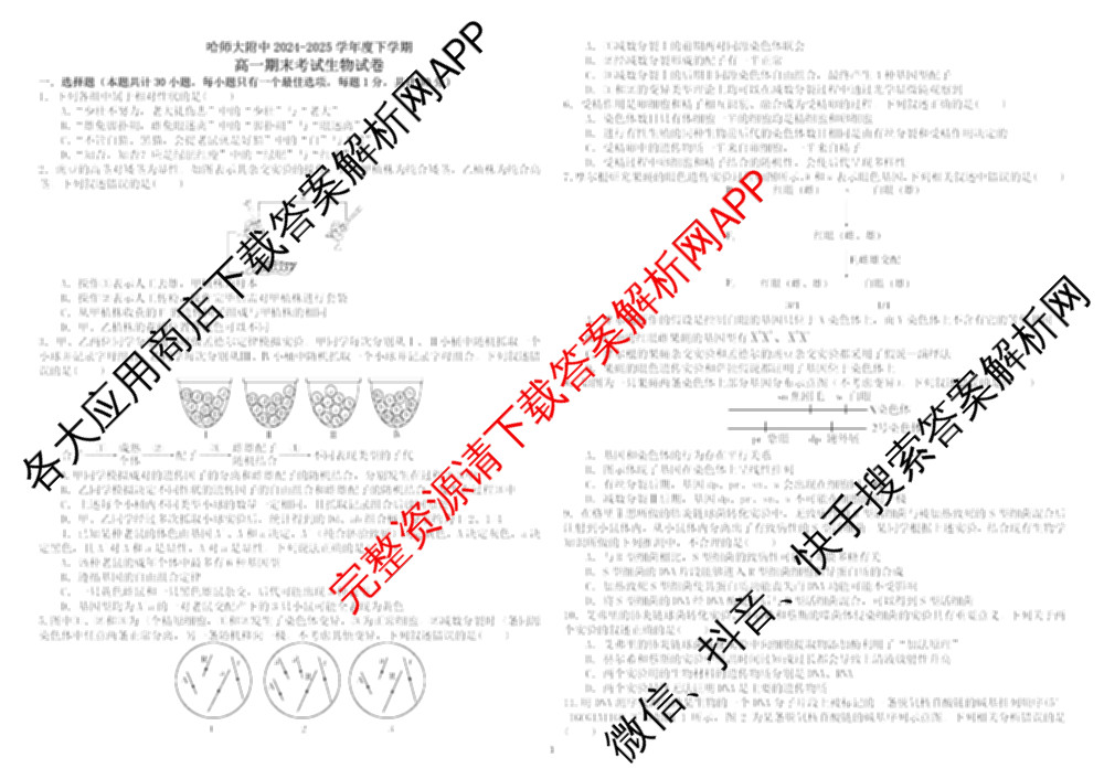 哈师大附中2024~2025学年度下学期高一期末考试各科答案及试卷（含化学 地理 政治等）生物试题
