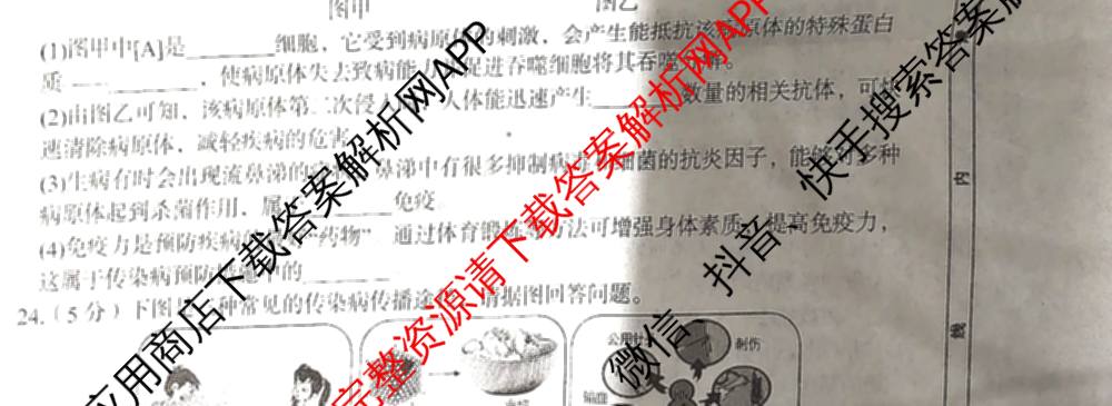 安徽省2025-2026学年度第一学期八年级阶段性评价(11.19)试卷及答案汇总: 含生物(人教版) 道德与法治 历史试卷解析生物试题