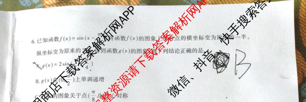 [泰安二模]2024年泰安市高三二轮检测(2024.04)（含地理 生物 语文等9份）数学试题