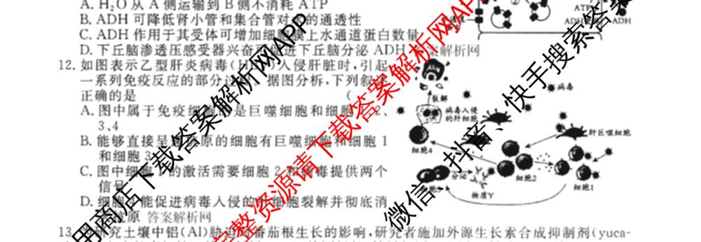 2026届高三总复名师原创模拟(五)5各科答案及试卷: 含政治(CQX6) 地理(CQX6) 生物(GDX6)试卷解析生物试题
