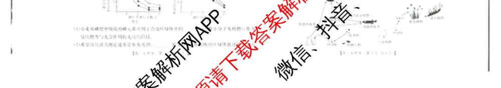 广西2026届高三10月考试(含生物、历史、化学等)生物试题 广西2026届高三10月考试(含生物、历史、化学等)生物试题