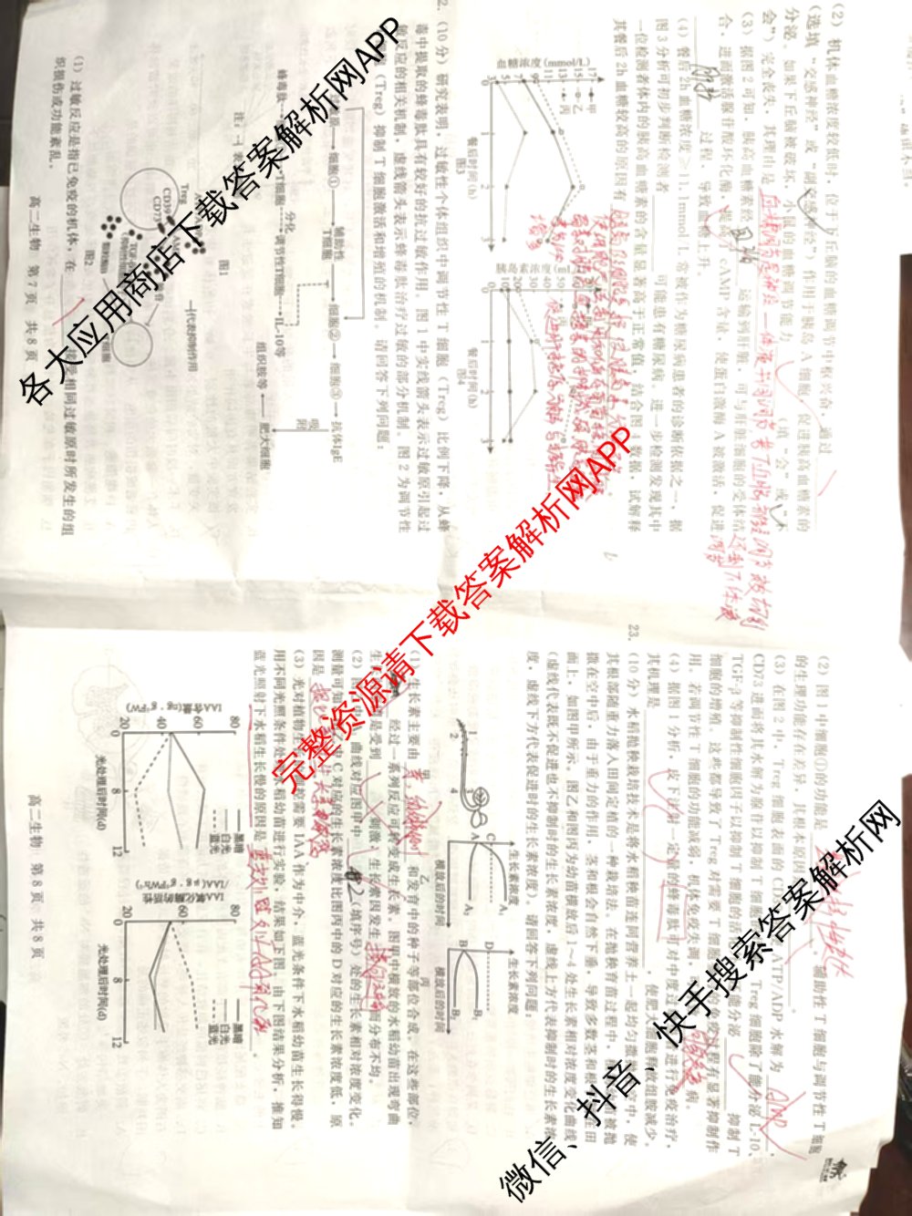 NT河北省2025-2026学年第一学期高二年级11月期中考试各科答案及试卷（含化学、生物、英语等）生物试题