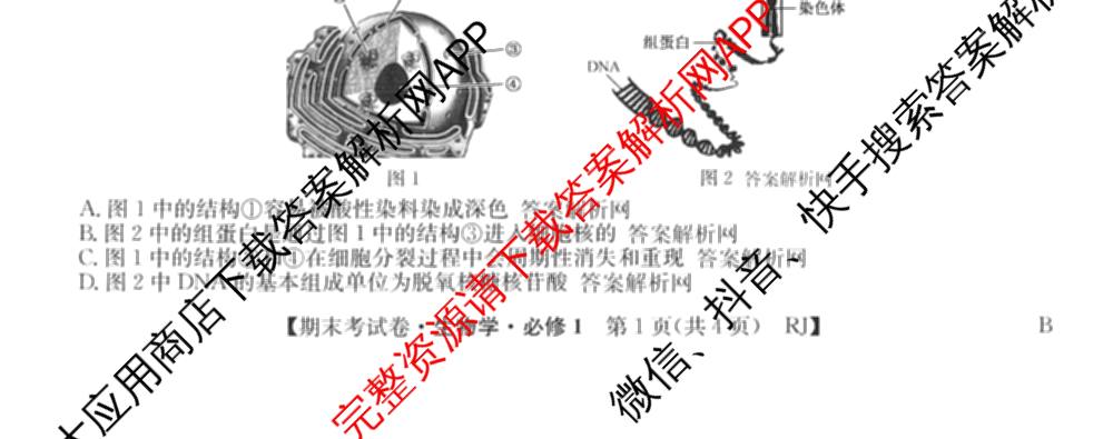 2025~2026学年度高一期末考试卷(上学期)各科答案及试卷（含历史(必修 中外历史纲要(上)) 语文(必修上册) 生物(必修1 RJ B)等9份）生物试题