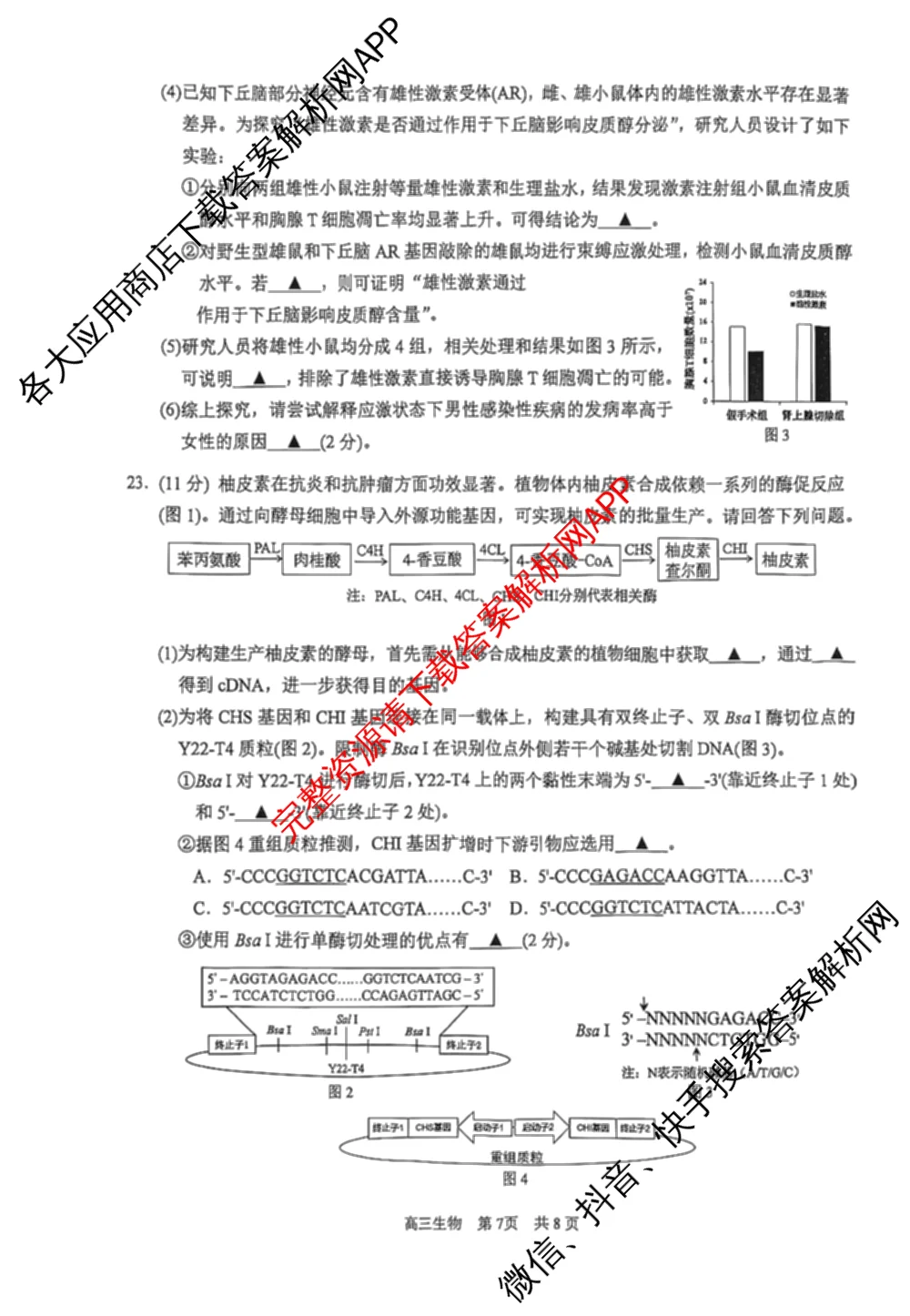 江苏省2026届高三年级期中阳光调研试卷(2025.11)（含化学、政治、物理等）生物试题