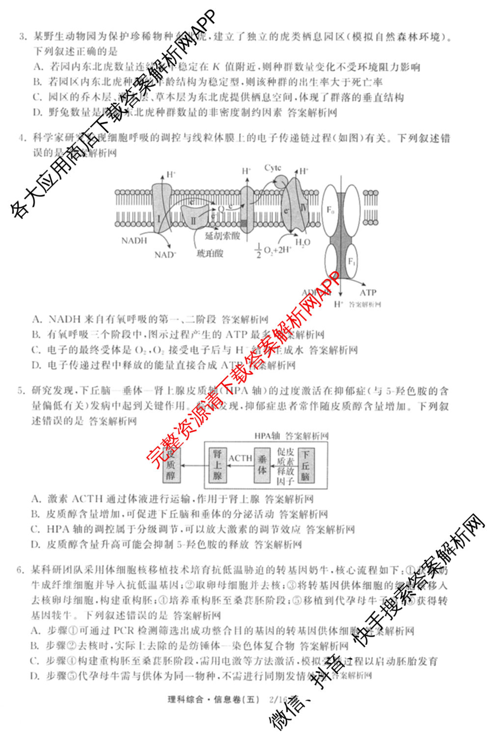 天舟高考衡中同卷2026年普通高等学校招生全国统一考试模拟信息卷(五)5(已更新化学(无字母)、数学(B)、物理(WY)等35份)理综试题