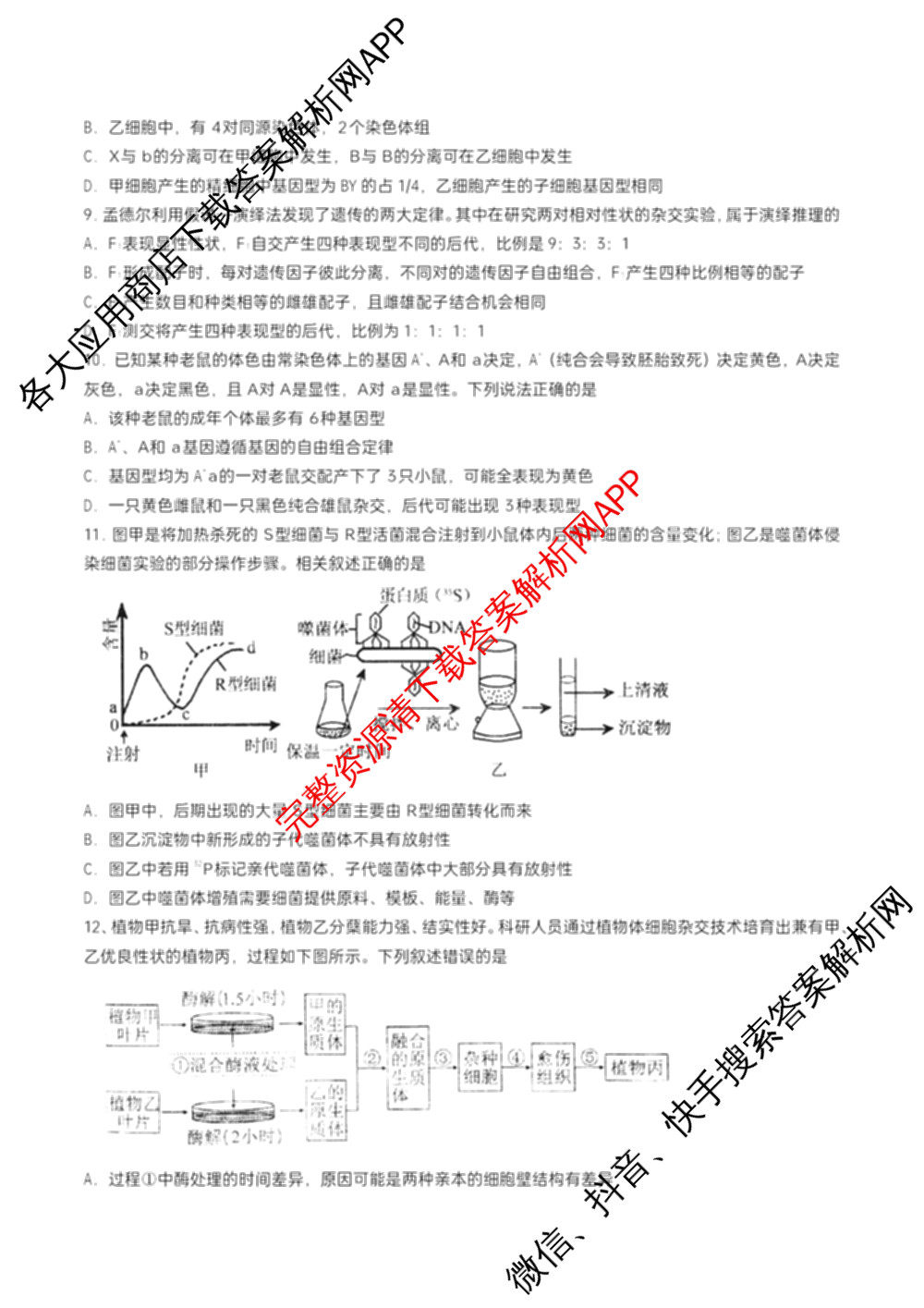 江苏省扬州市高邮市2025-2026学年第一学期高三10月学情调研测试2025.10(含语文 英语 历史等)生物试题 江苏省扬州市高邮市2025-2026学年第一学期高三10月学情调研测试2025.10(含语文 英语 历史等)生物试题
