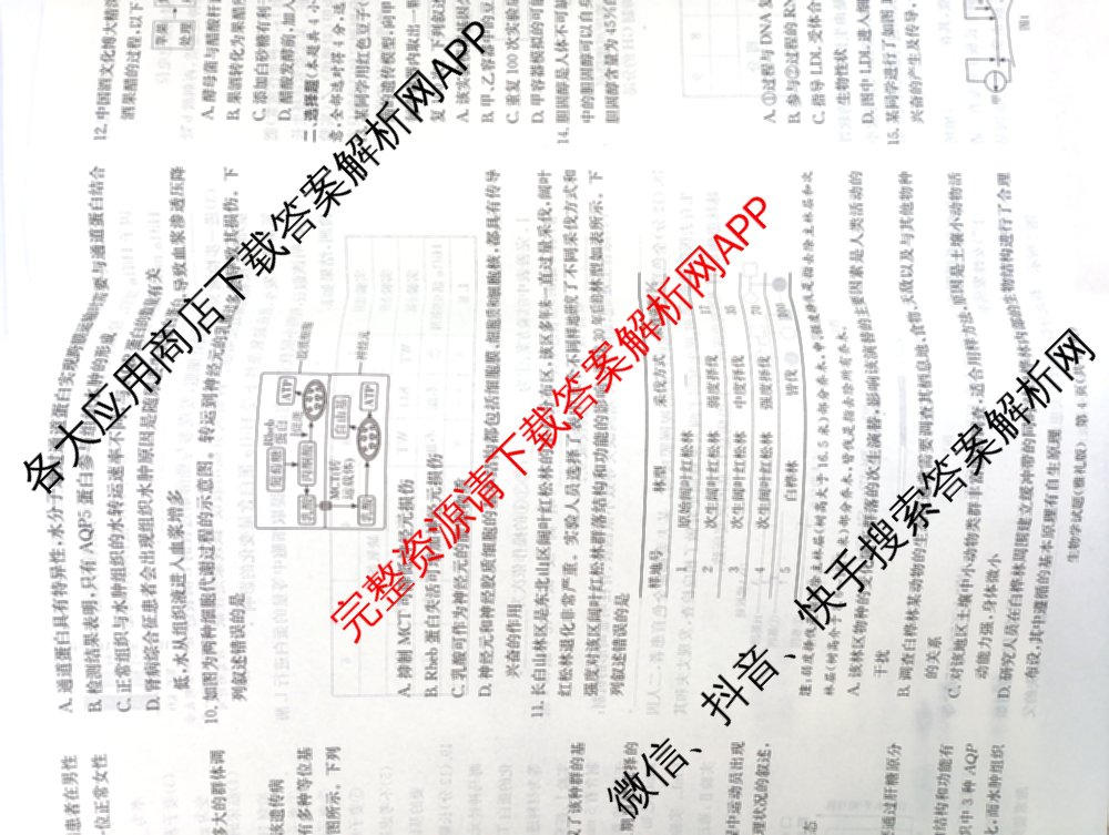 炎德英才大联考雅礼中学2026届高三月考试卷(四)试卷及答案汇总: 含数学、英语、语文试卷解析生物试题