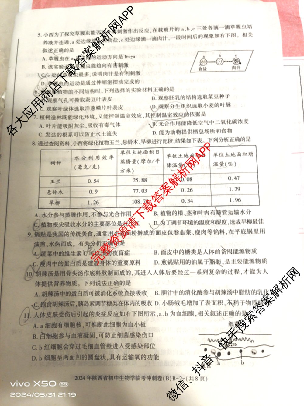 2024年陕西省初中学业水平考试临考冲刺卷(B)各科答案及试卷（含化学(A) 语文(C) 道德与法治等）生物试题