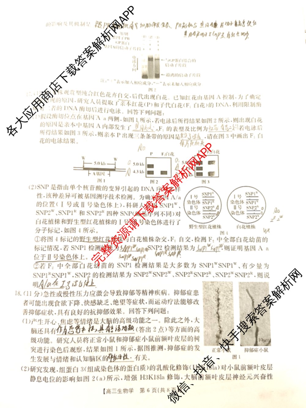 2026高考总复课堂测评 信息冲刺压轴训练(三)3各科答案及试卷: 含化学、文综(新A)、物理(4)试卷解析物理试题