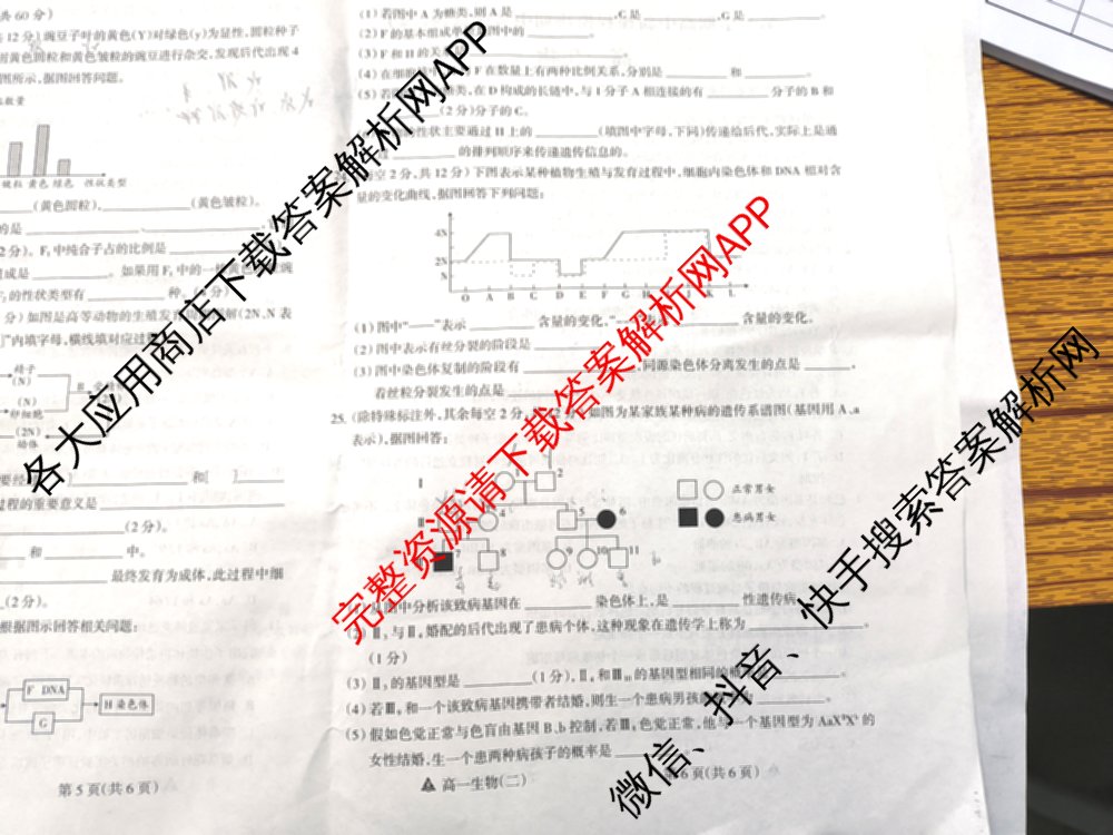 2023-2024高一第二学期高中新课程模块期中考试试题(卷): 含物理、政治、数学试卷解析生物试题