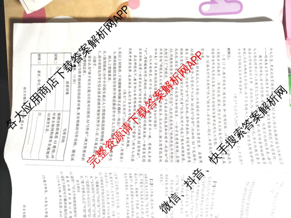 2026年安徽中考第一轮复专题(四)（7科全）语文试题