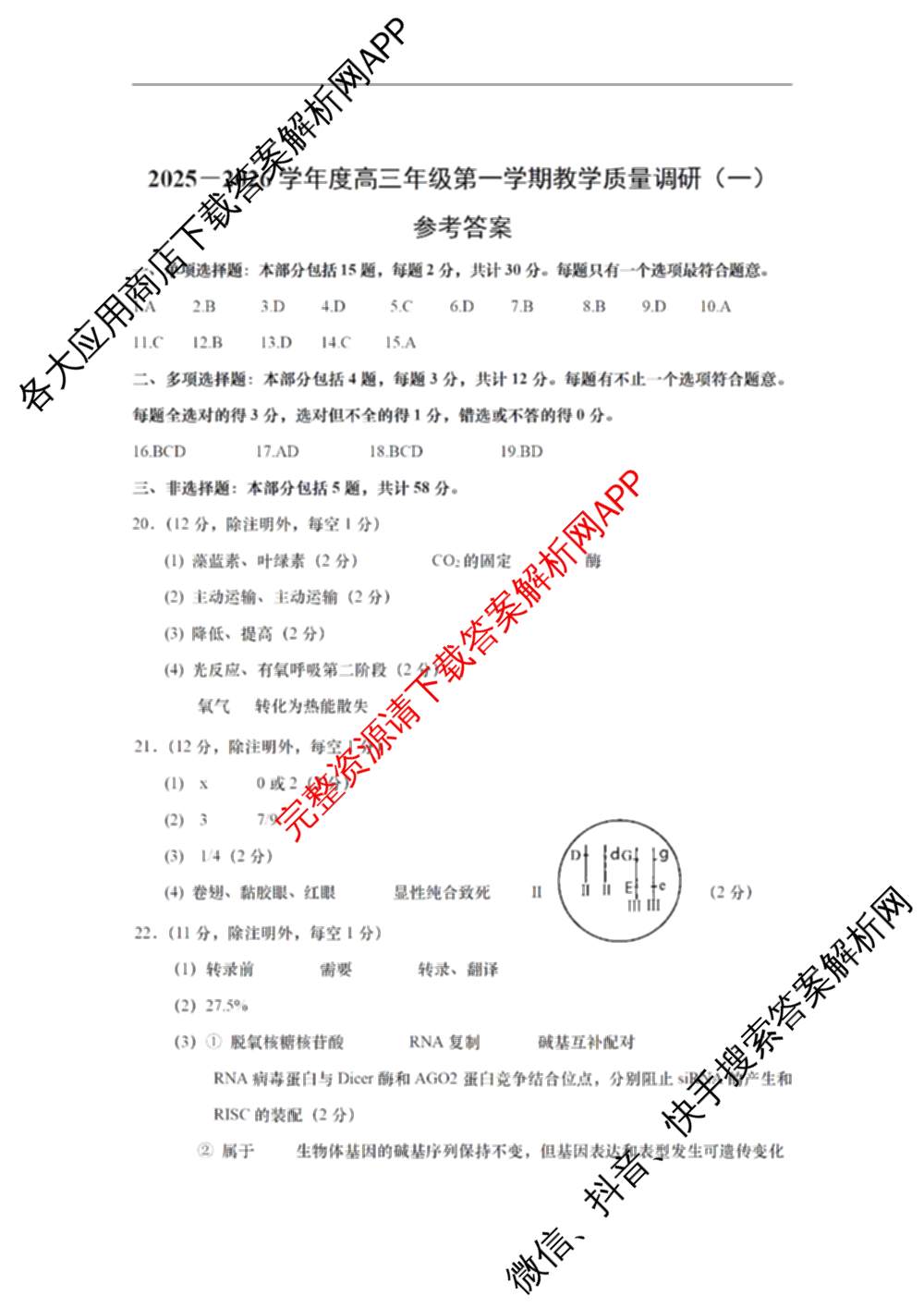 江苏省如皋市2025-2026学年度高三年级第一学期教学质量调研(一)(含语文 物理 英语等)生物答案 江苏省如皋市2025-2026学年度高三年级第一学期教学质量调研(一)(含语文 物理 英语等)生物答案