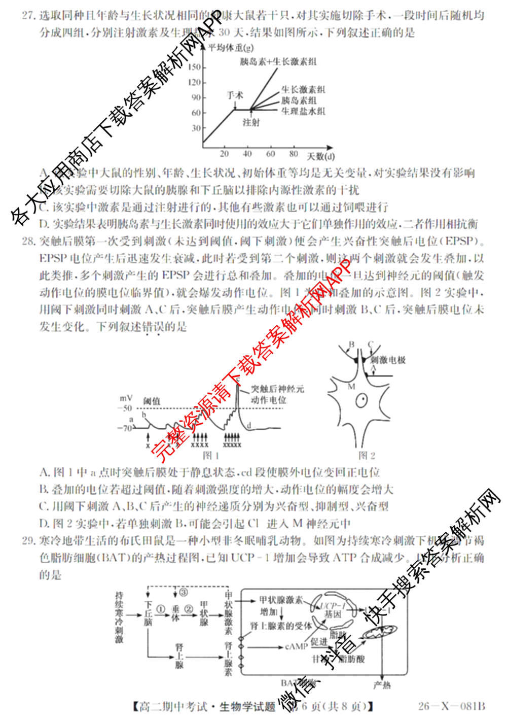广东省2025-2026学年度高二第一学期期中考试(26-X-081B)试卷及答案汇总(已更新政治、数学、英语等10份)生物试题