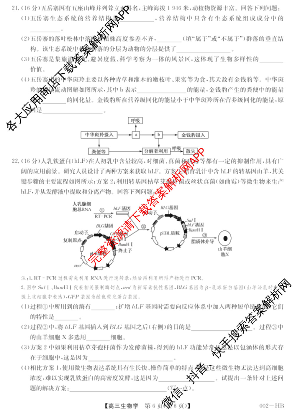 九师联盟湖北省2027届高三8月考试(002-HB)各科答案及试卷（含化学 物理 历史等）生物试题