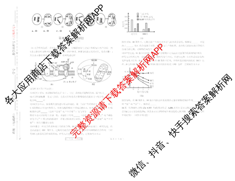 天津市第三中学2025~2026学年度第一学期高三年级阶段性检测试卷(2025.10)各科答案及试卷（含物理 语文 历史等）生物试题