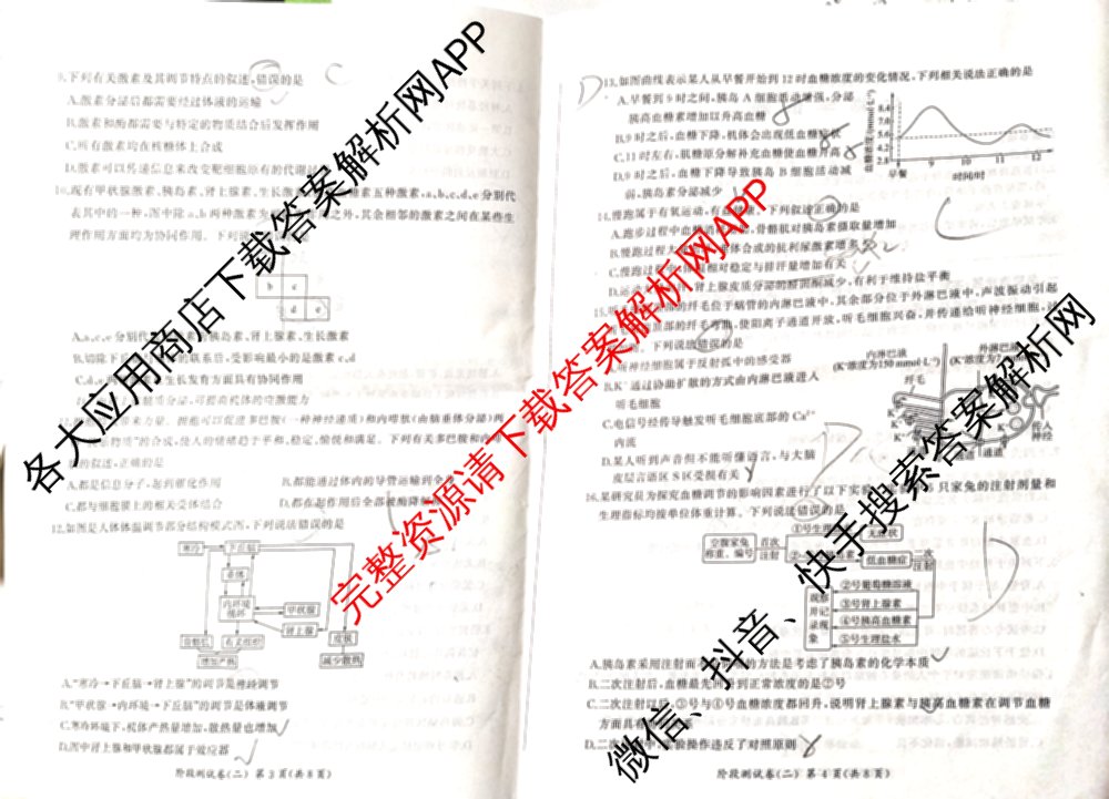 百师联盟2025-2026学年高二上学期阶段测试卷(二)2各科答案及试卷(已更新化学(人教版90分钟·多选)、物理(90分钟多选)、英语等26份)生物试题