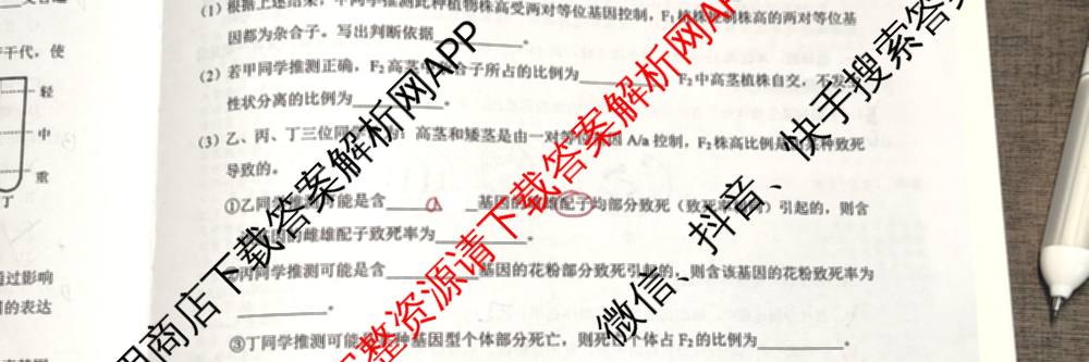 马鞍山市2024~2025学年第二学期期末教学质量监测高一各科答案及试卷: 含英语、地理、物理试卷解析生物试题