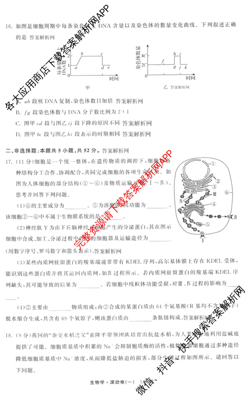 衡中同卷2025-2026学年度高三复滚动卷(一)1（含地理(JY) 数学(B) 物理(HJ)等）生物试题