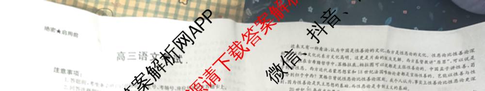 百万联考云南省2026届高三11月考试(11.27)[YN]各科答案及试卷（含地理(C1)、物理(C2)、生物(C1)等）语文试题