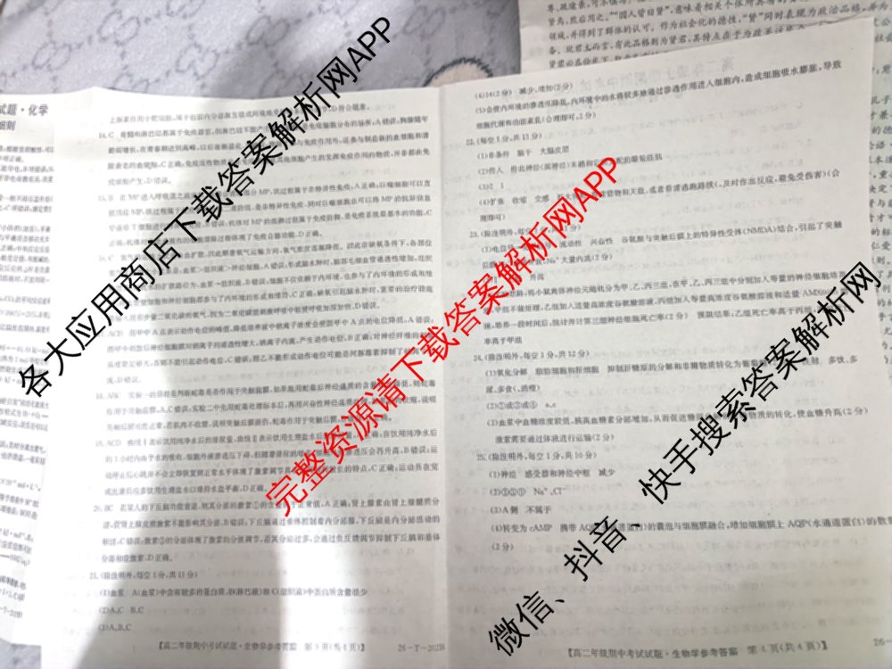 吉林省2025-2026高二年级上学期期中考试试题(26-T-202B)试卷及答案汇总: 含历史、地理、数学试卷解析生物答案