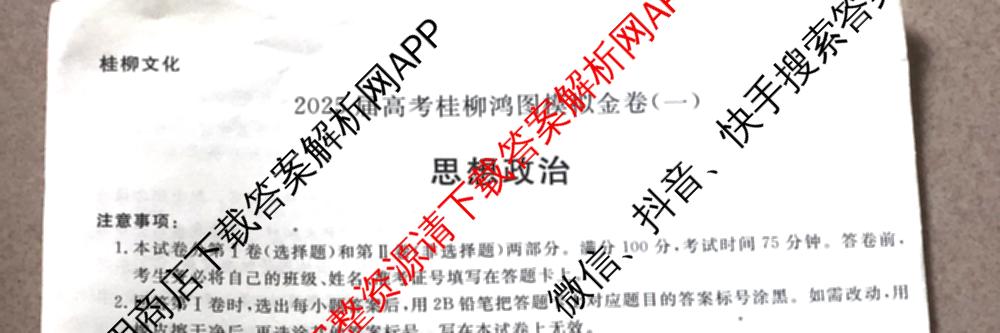 桂柳文化2025届高考桂柳鸿图模拟金卷(一)1试卷及答案汇总（含物理 语文 政治等）政治试题